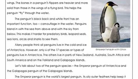 grade 1 penguins friendly numbers worksheet