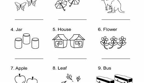 singular plural worksheet for kindergarten