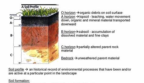 properties of soil worksheets