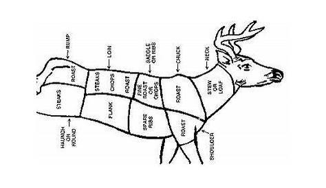 Venison Yield Chart | Whitetail deer, Survival, Deer meat