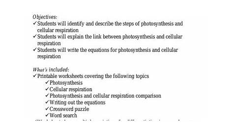 Photosynthesis and Cellular Respiration Worksheets | Teaching Resources