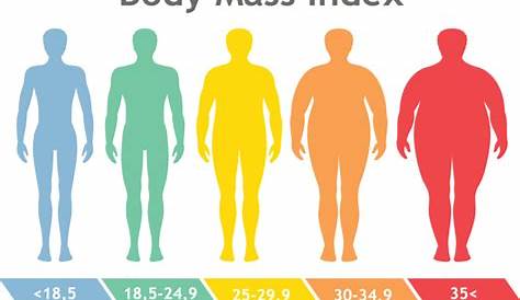 BMI history helps assess life expectancy - Telegenisys Inc.