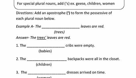 singular and plural possessive nouns worksheets