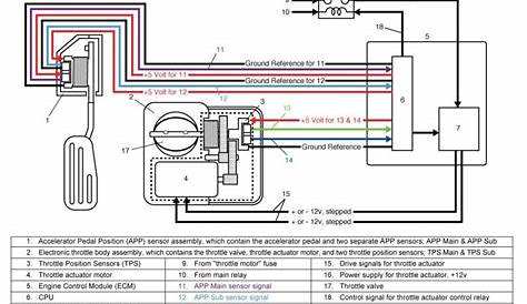 williams controls tps wiring diagram