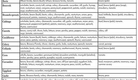 herb companion planting chart pdf