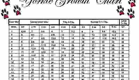 weight chart for yorkies
