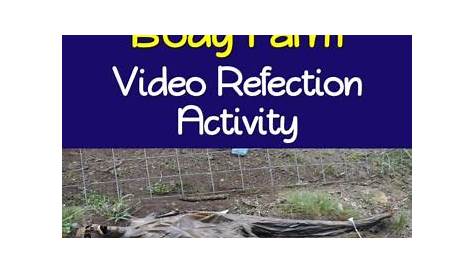 the secrets of the body farm video reflection activity