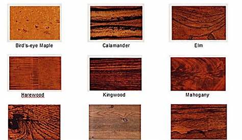 wood grain identification chart