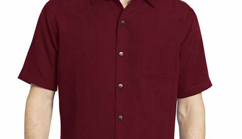 Van Heusen Men's Big and Tall Striped Short Sleeve Shirt - Walmart.com