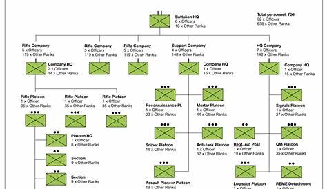 infantry battalion organization chart