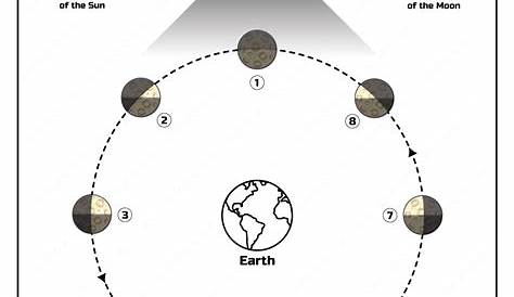 moon phases activity worksheet