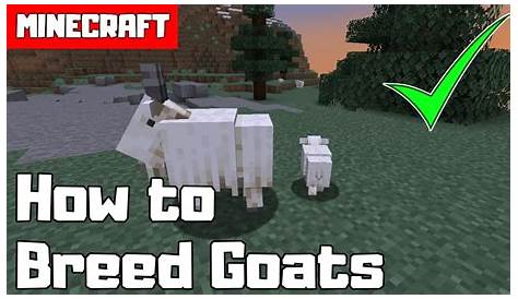 what do goats do in minecraft