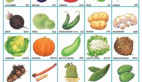 vegetable chart for kindergarten