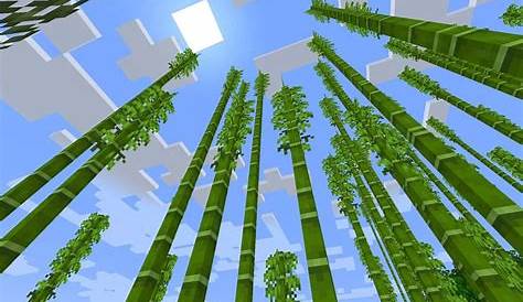 How can bamboo be used in Minecraft 1.19 update?