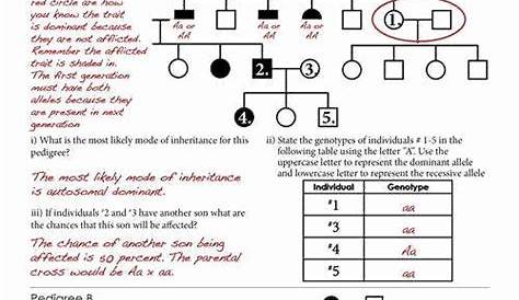human pedigree genetics worksheet answers