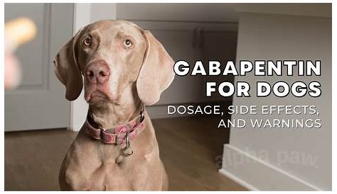 gabapentin dog dosage chart