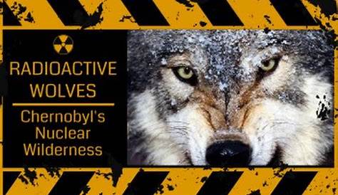 radioactive wolves worksheet answers