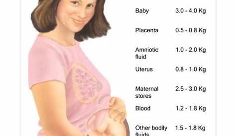 Weight Gain in Pregnancy Chart