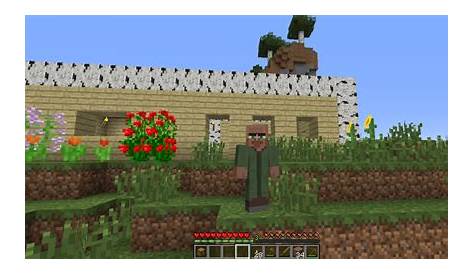 File:April fools 2014.png – Official Minecraft Wiki