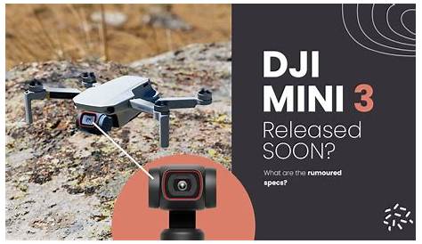 How To Set Up The Dji Mini 3 Pro Beginners Guide How To Update Firmware