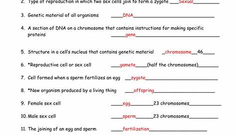 heredity worksheet answers