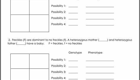 genetics punnett square worksheet