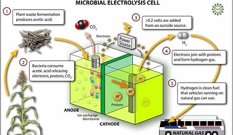 do batteries use electrolysis