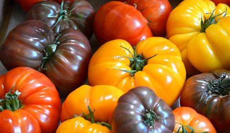 FreshPoint | Why Heirloom Tomatoes are so Special…