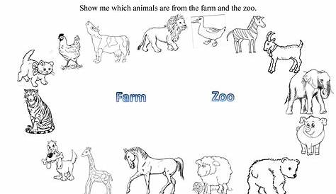 Zoo Animals Worksheet - This Worksheet Is Designed To Teach The | Free