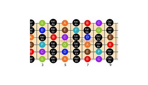 Guitar Fretboard Diagram: (12 & 24 Fret Charts) | Your Guitar Brain