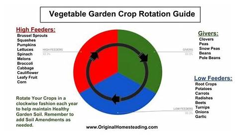 garden crop rotation chart