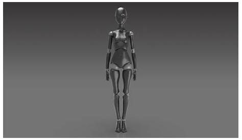 Female Body Articulated for 3D Print 3D model 3D printable OBJ STL ZTL