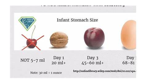 infant stomach size chart