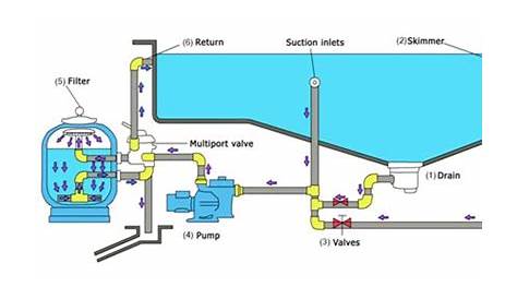 intex pool pump schematic