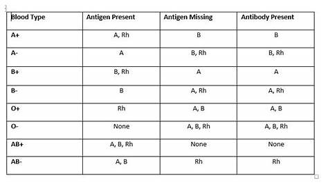 Blood Types - Antigen and Antibodies Table and Definition Diagram | Quizlet