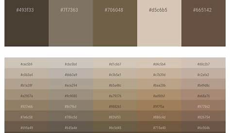 The Color Taupe - Asian Paints Taupe Tone 8769 B0a299 Hex Color Code