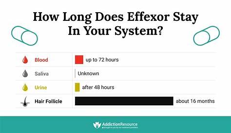 Effexor Half-life & MOA: How Long Does Venlafaxine Stay In Your System?