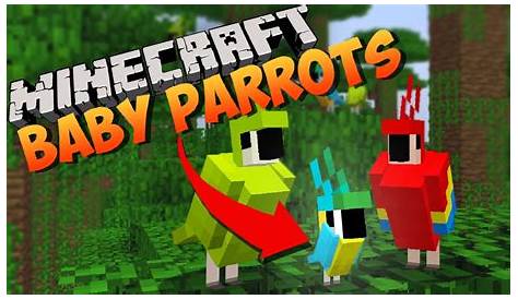 How To Breed Parrots Minecraft