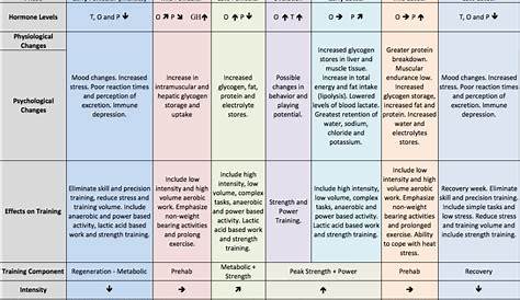 Menstrual Cycle Chart, Menstrual Cycle Phases, Training Schedule