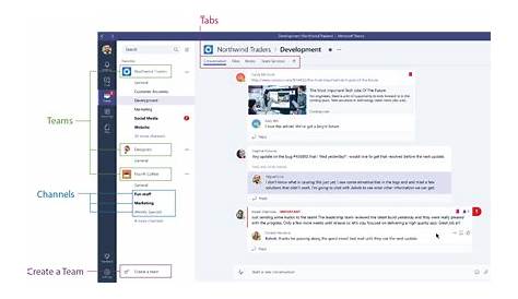 Microsoft Teams: A Beginners Guide to Teams | Office 365