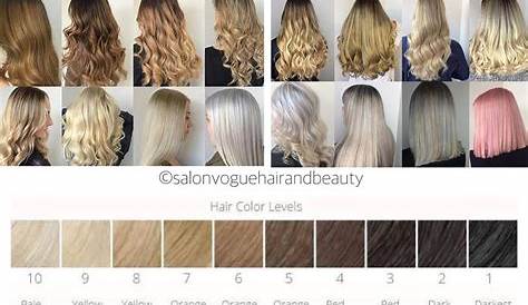 hair color guide chart