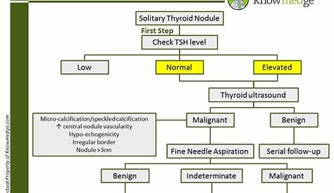 Thyroid: Thyroid Nodule Size