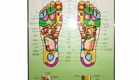 foot echo schematic chart