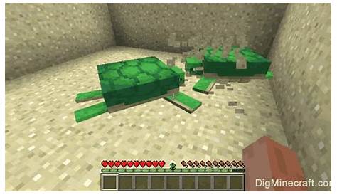 how to breed sea turtles in minecraft