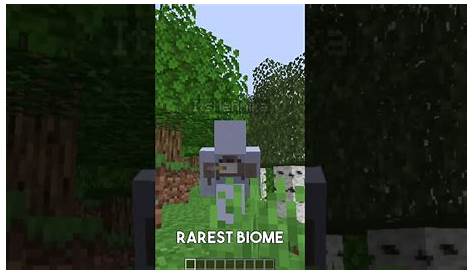 what is the rarest biome in minecraft 2022