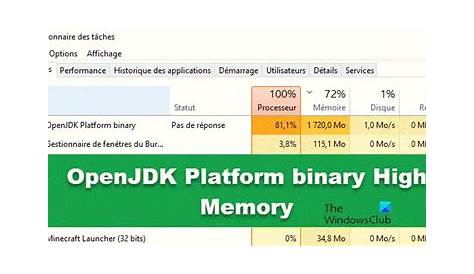 what is openjdk platform binary minecraft