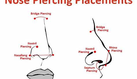The Ultimate Guide to Nose Rings & Nose Piercings | Nose piercing, Nose