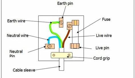 Dryer Plug Wiring Diagram 3 Prong - Database - Faceitsalon.com