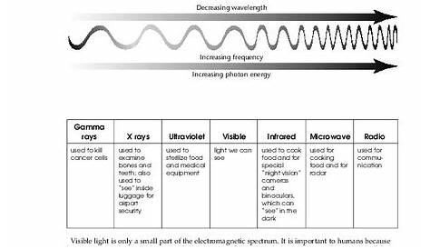 light worksheet physics