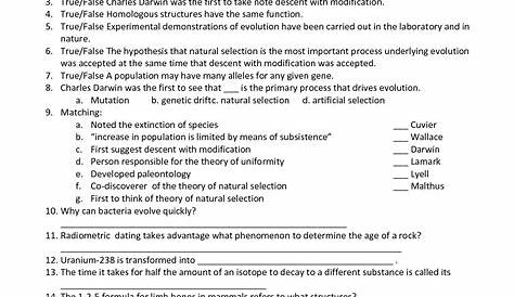 patterns of natural selection worksheet answer key quizlet